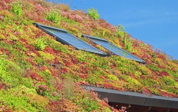 Angmering living roof systems