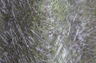 Angmering fibreglass roof work